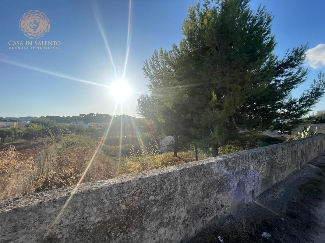 Foto annuncio 14