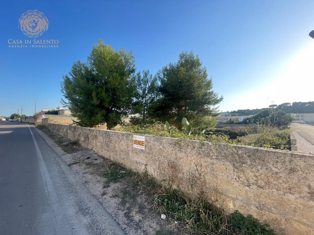 Foto annuncio 11