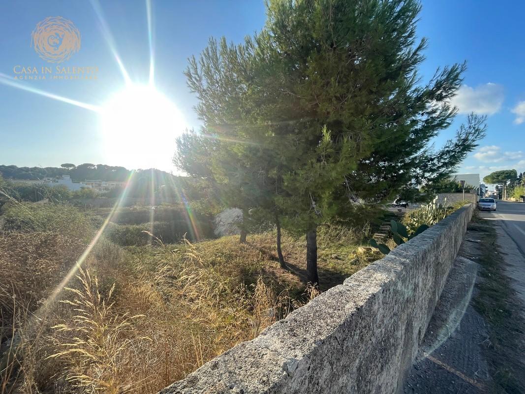 Foto annuncio 13