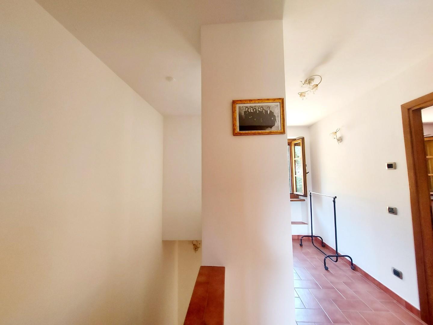Foto annuncio 47
