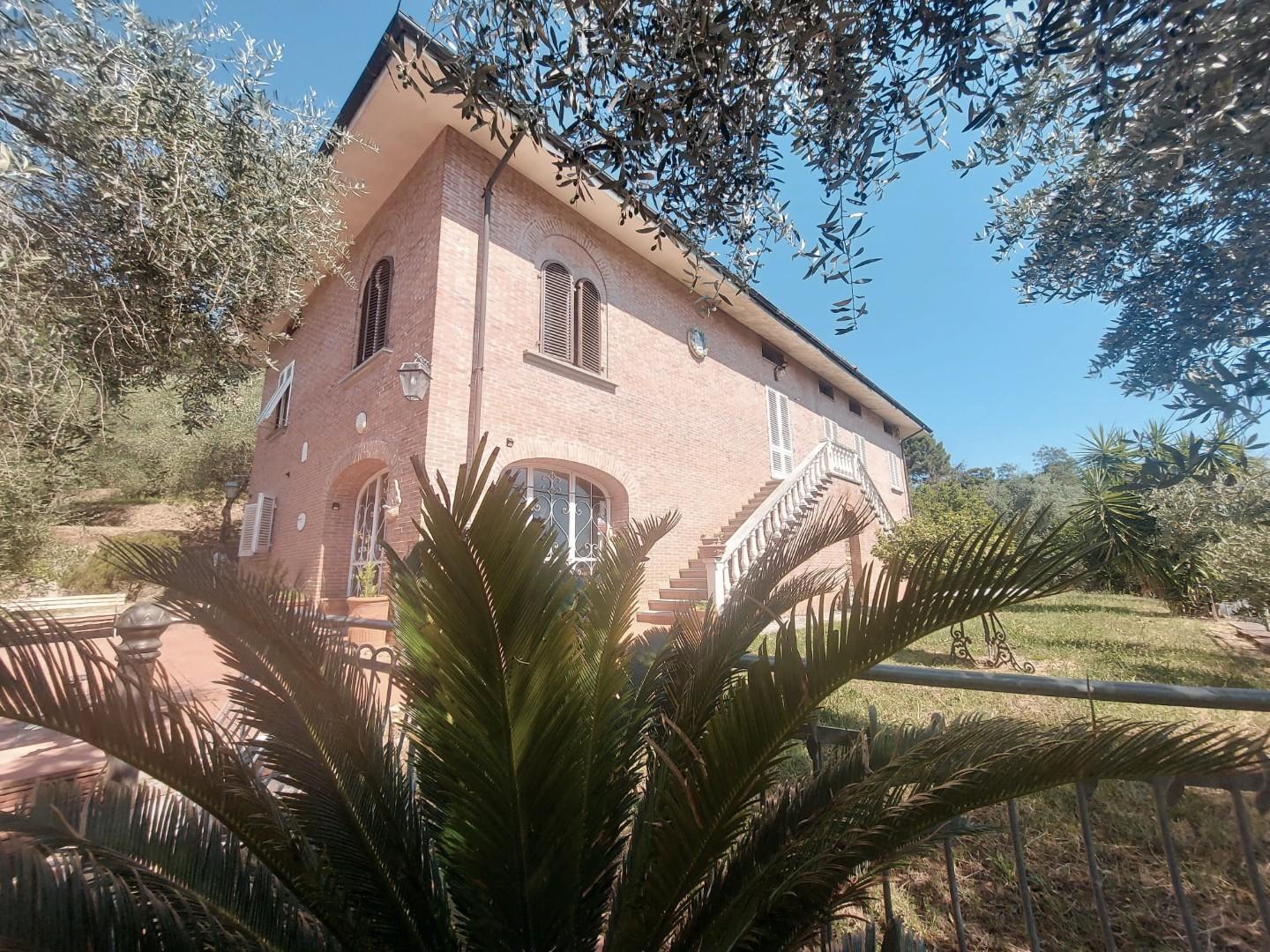 Foto annuncio 58