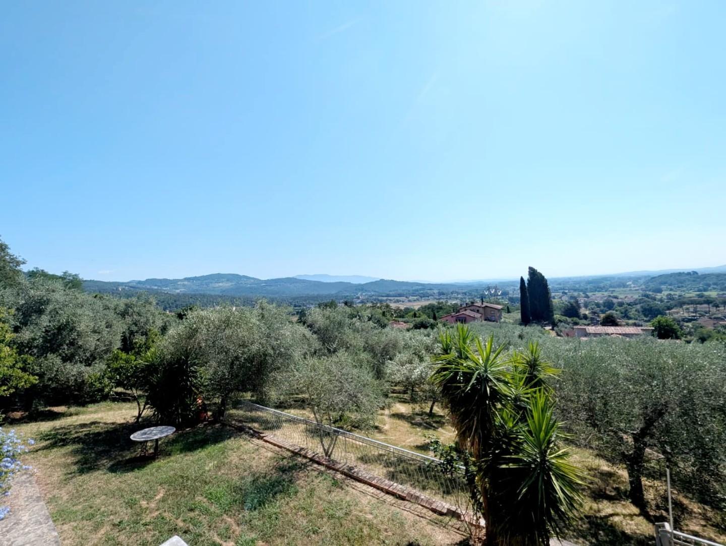 Foto annuncio 7