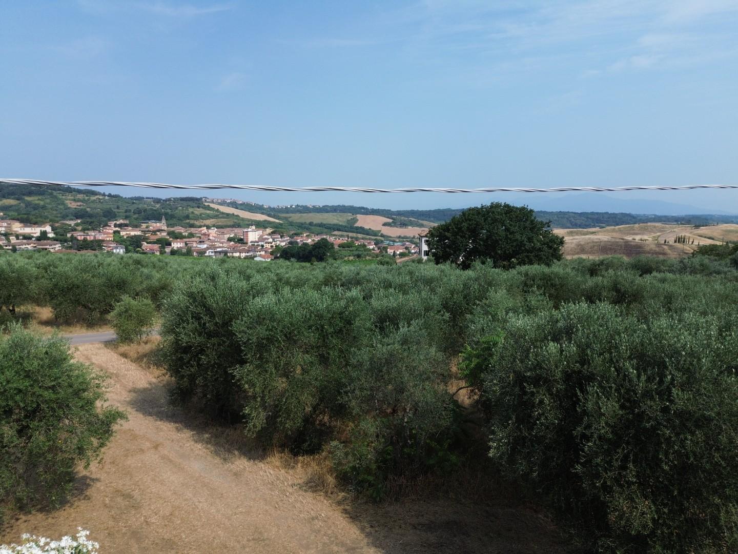 Foto annuncio 16