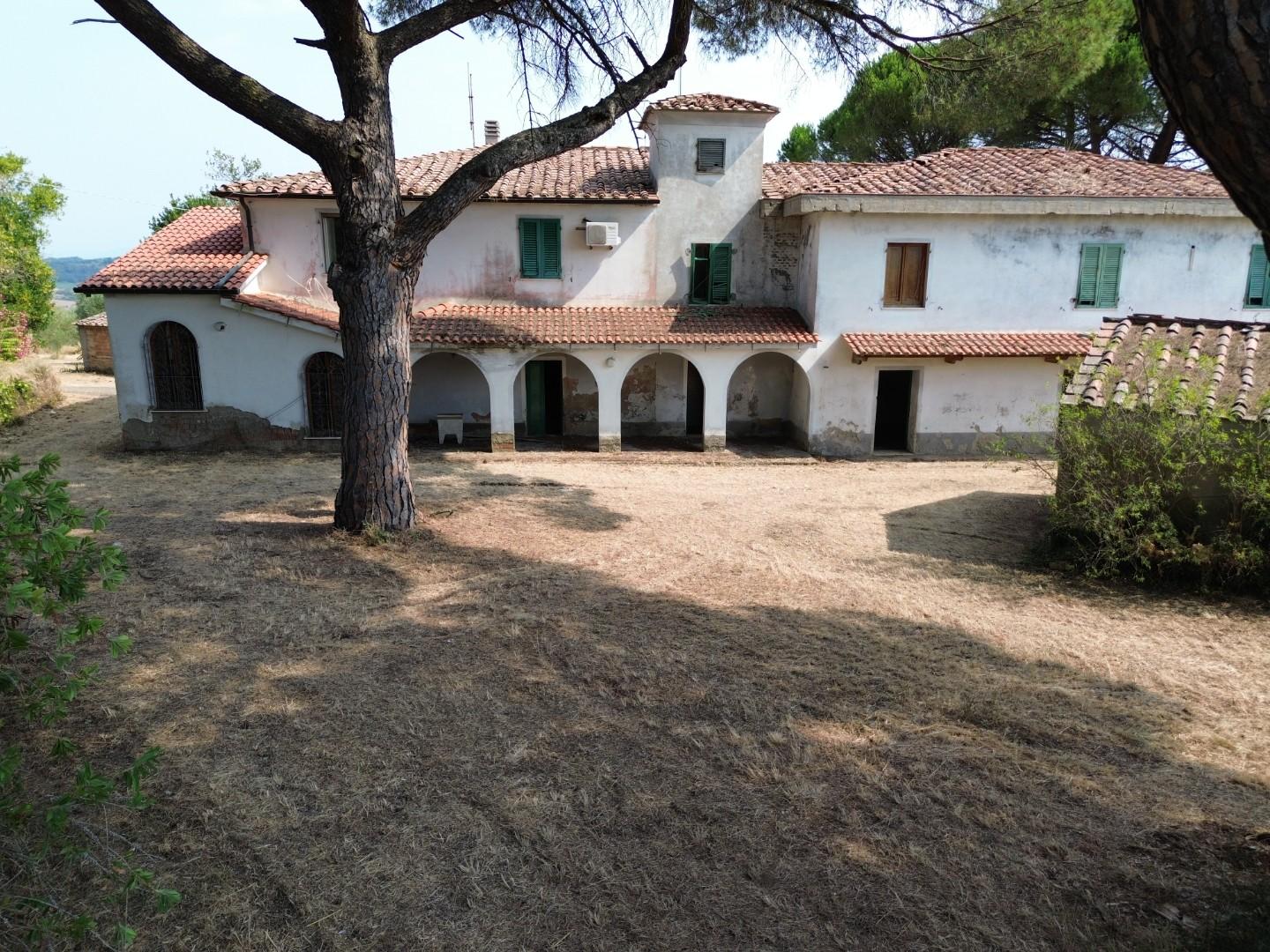 Foto annuncio 6
