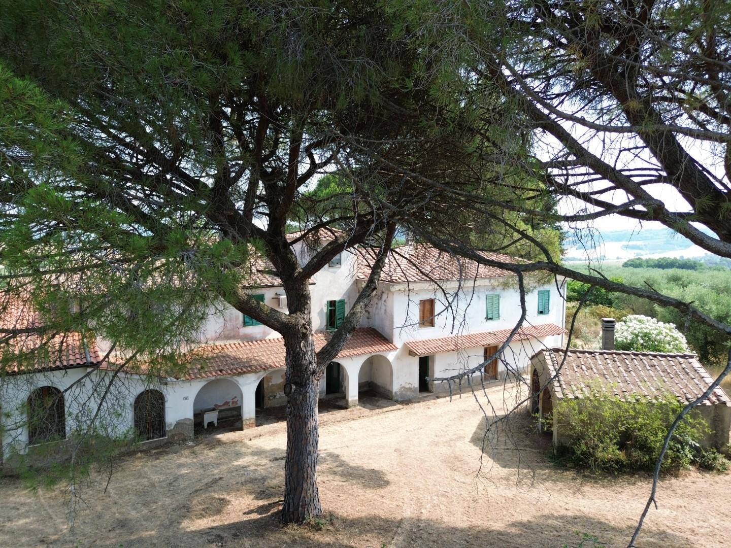 Foto annuncio 25