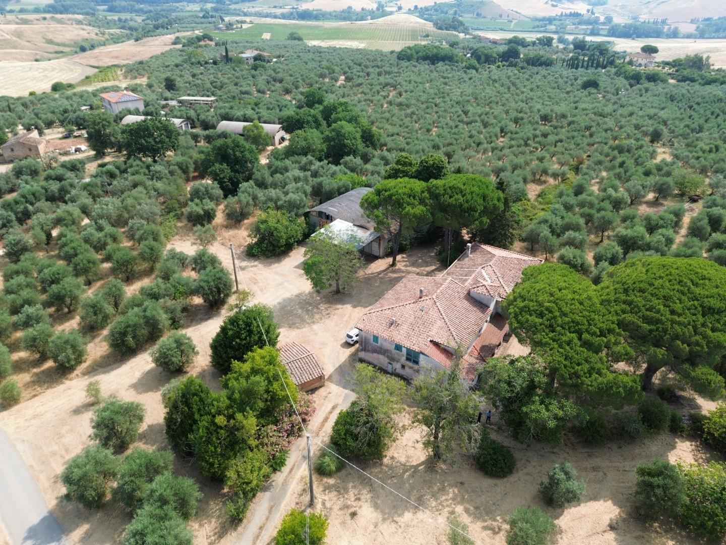 Foto annuncio 10