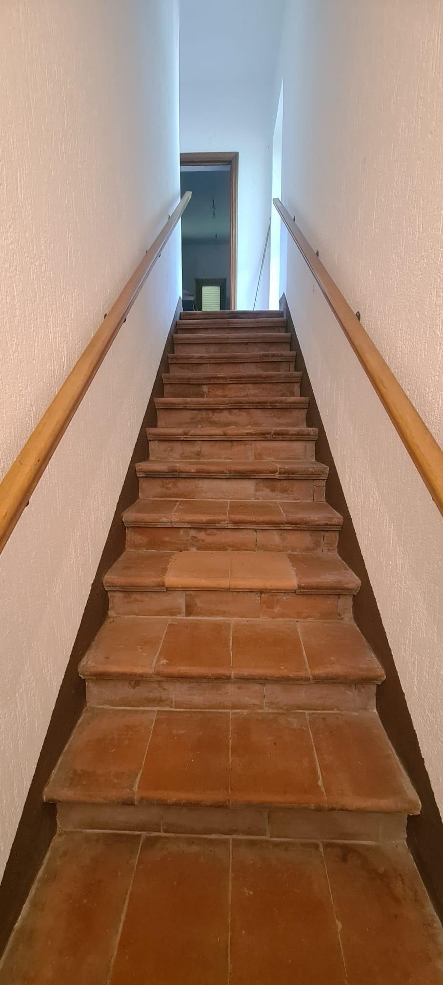 Foto annuncio 24