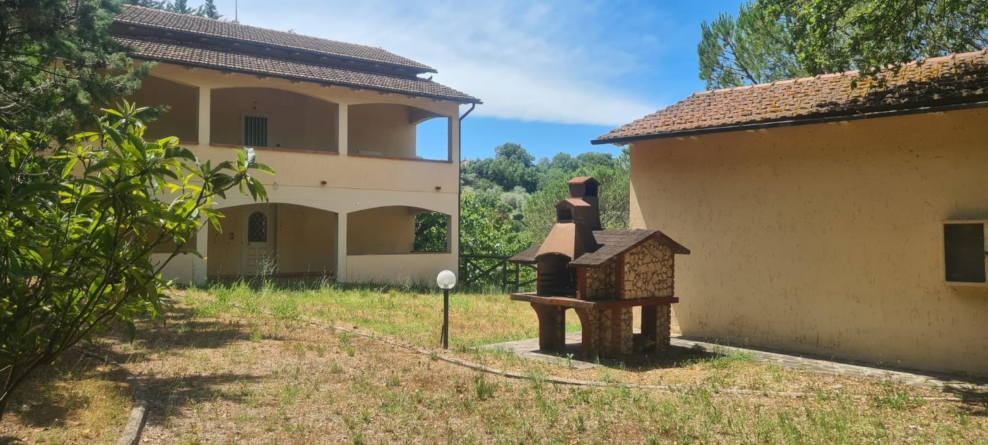 Foto annuncio 2