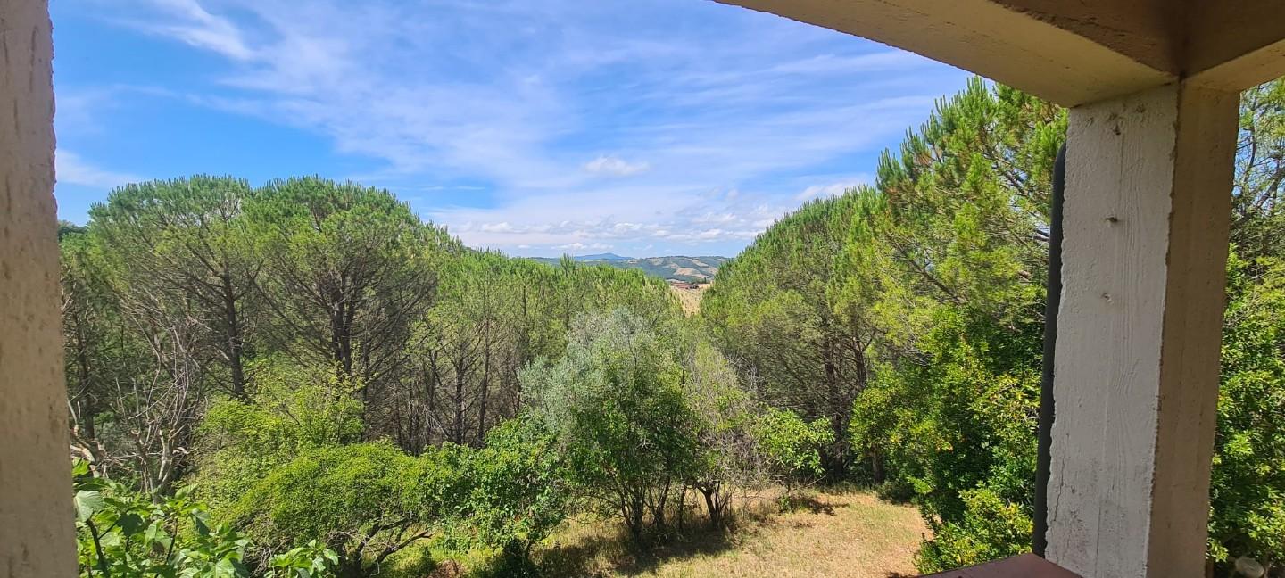 Foto annuncio 8