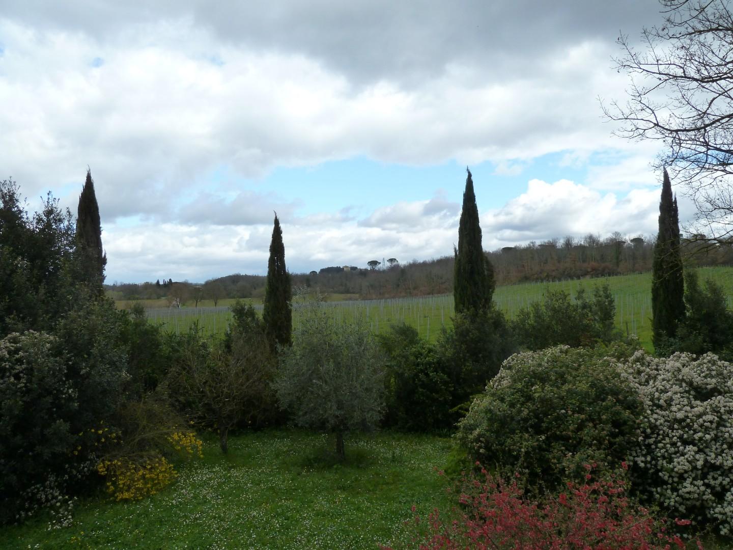 Foto annuncio 9