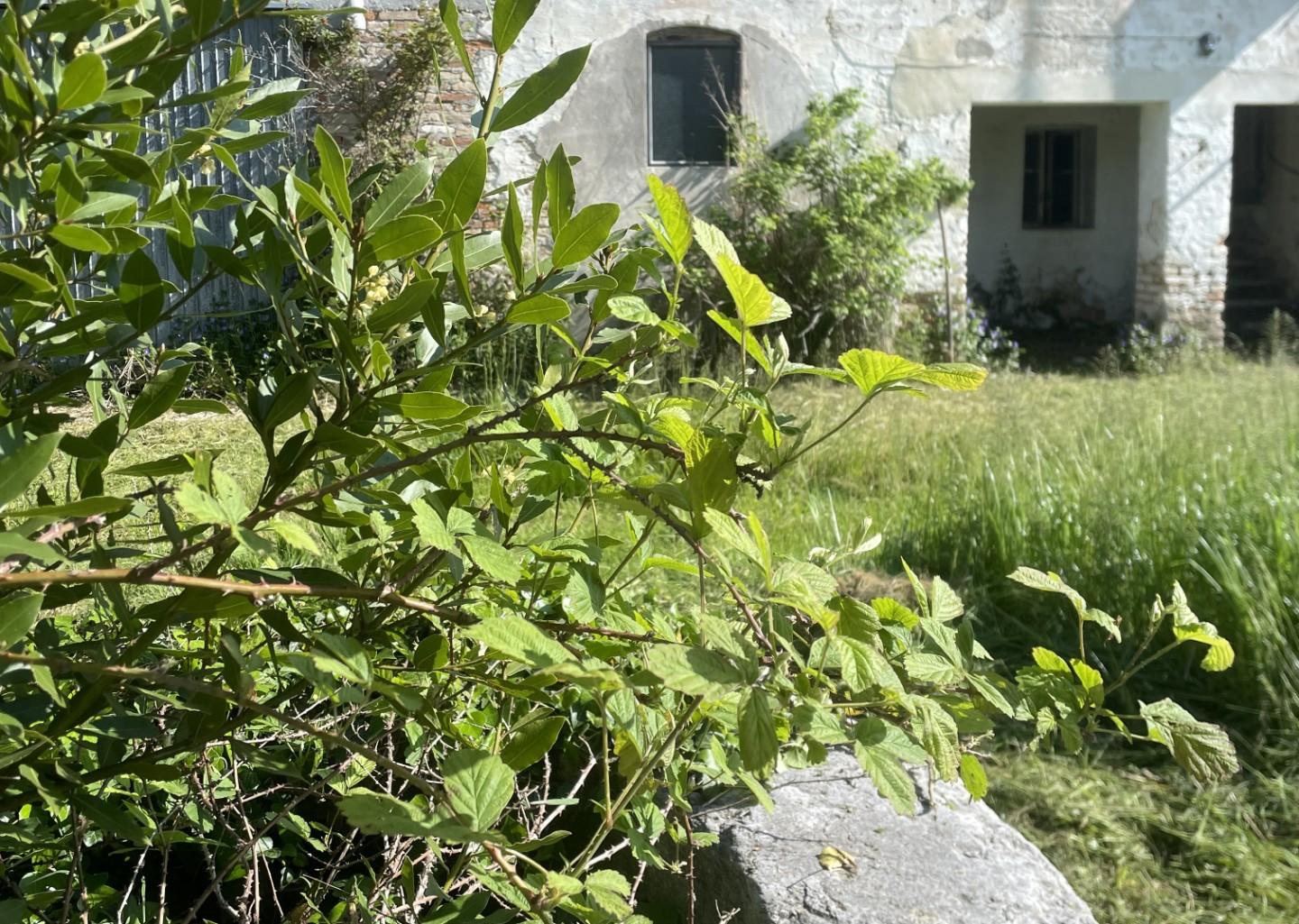 Foto annuncio 10