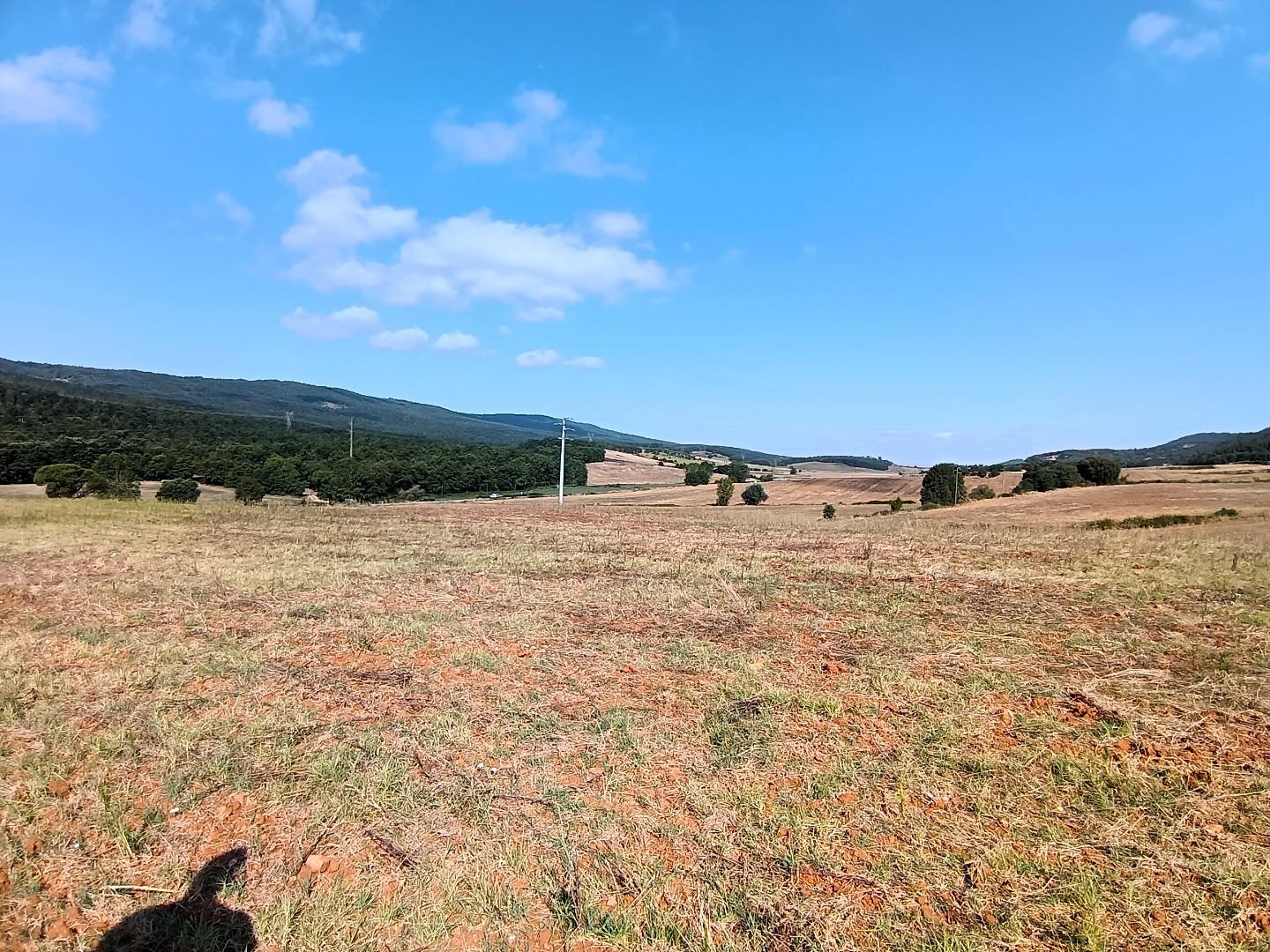 Foto annuncio 30