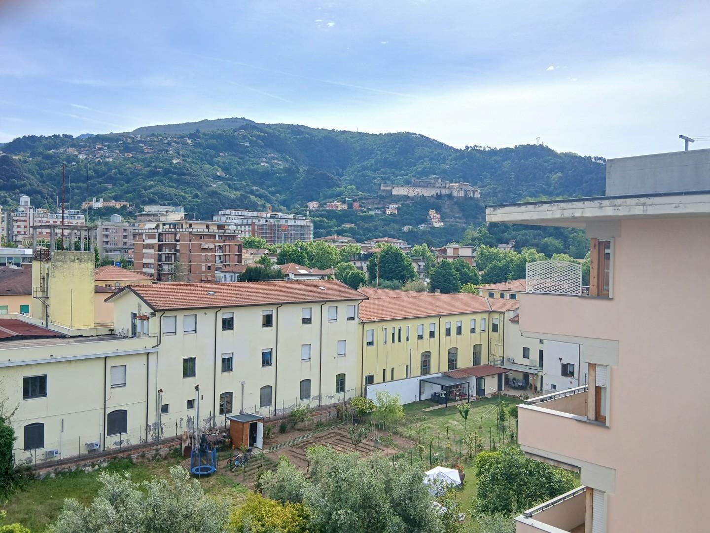 Foto annuncio 12