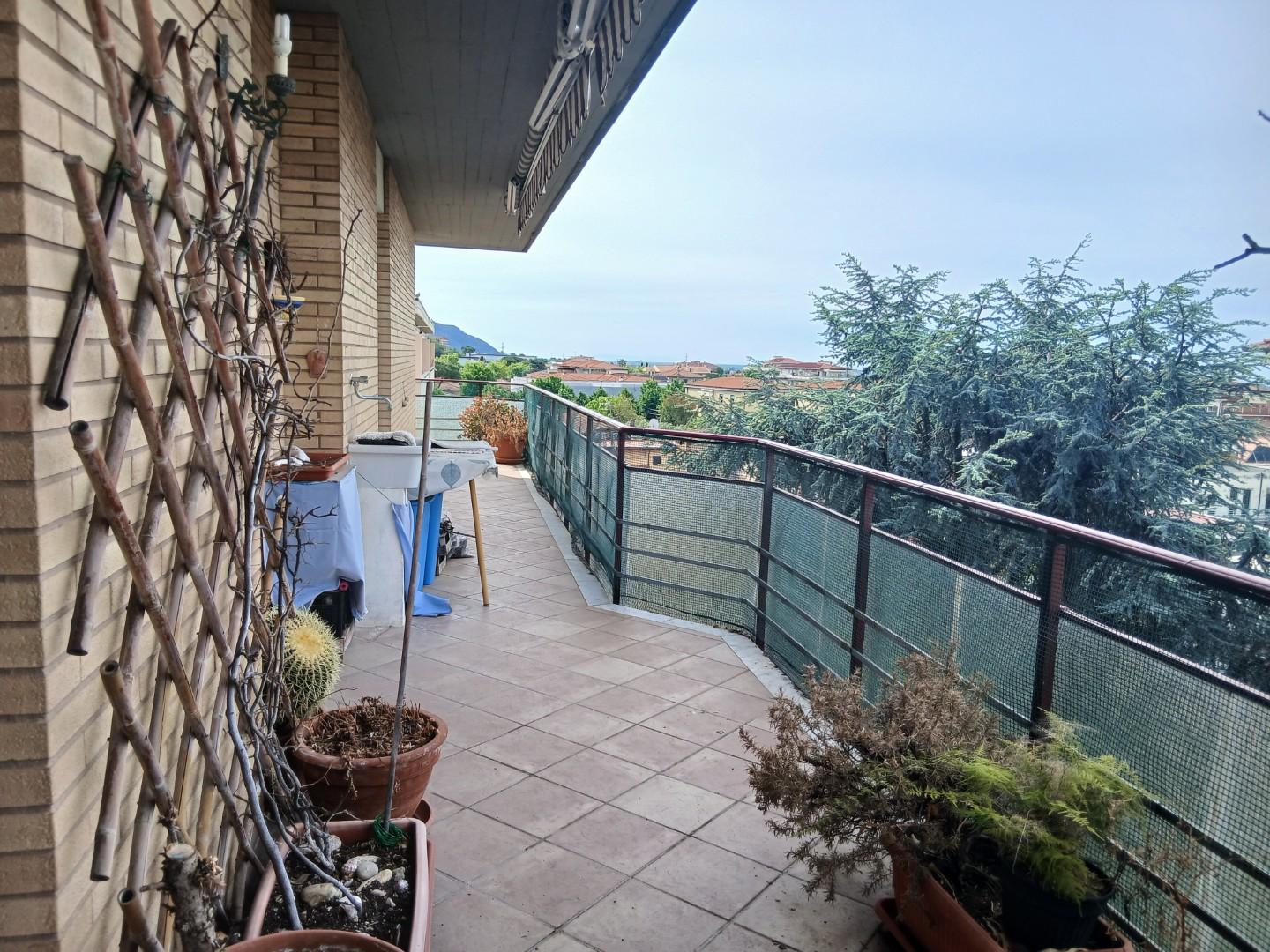 Foto annuncio 9