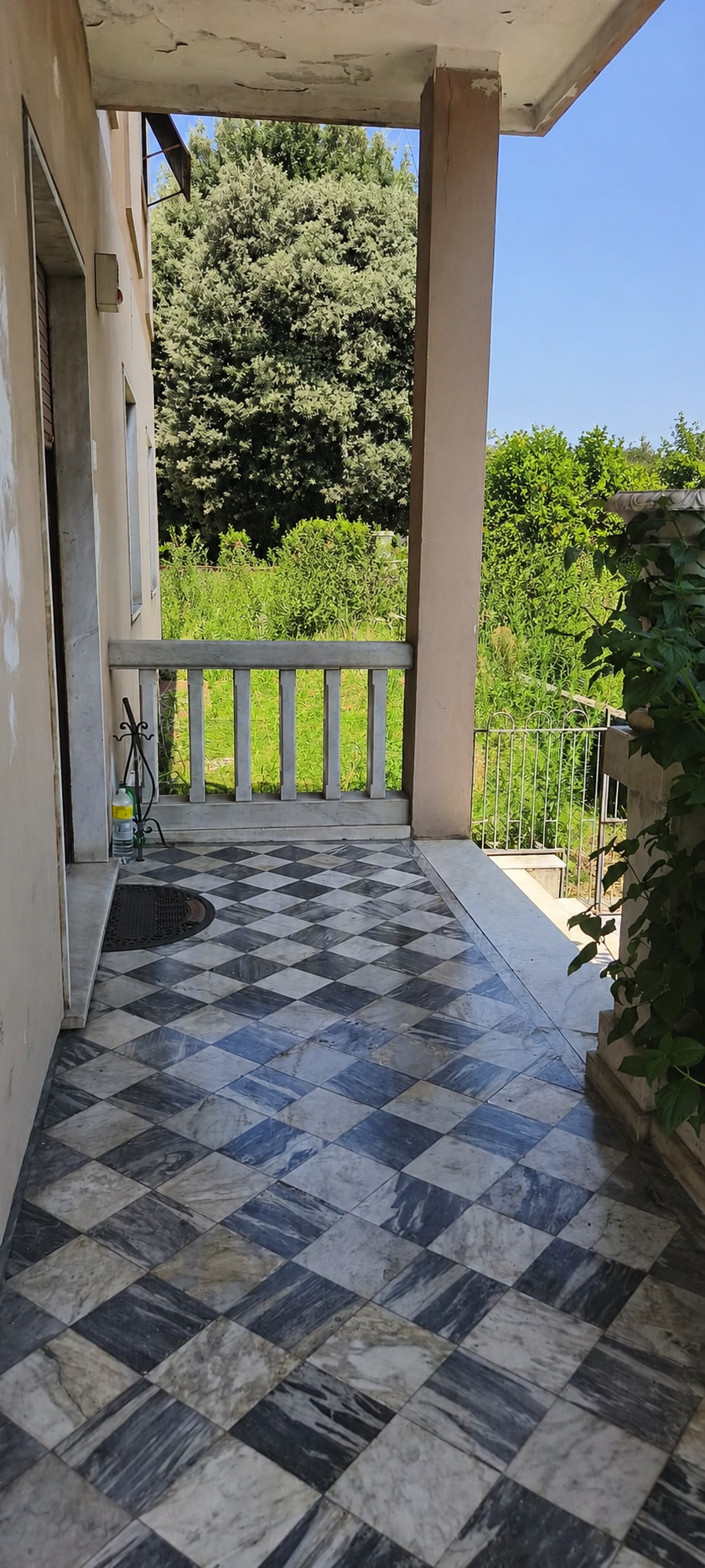 Foto annuncio 1