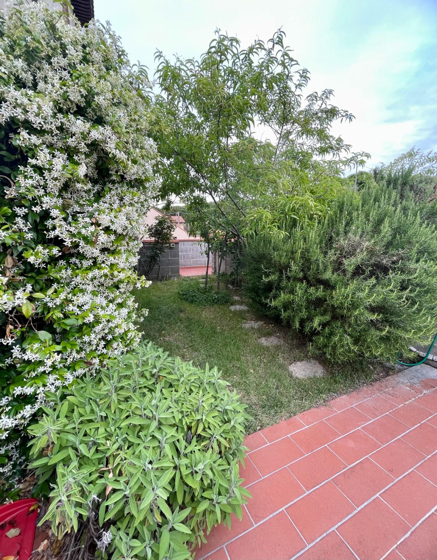 Foto annuncio 19