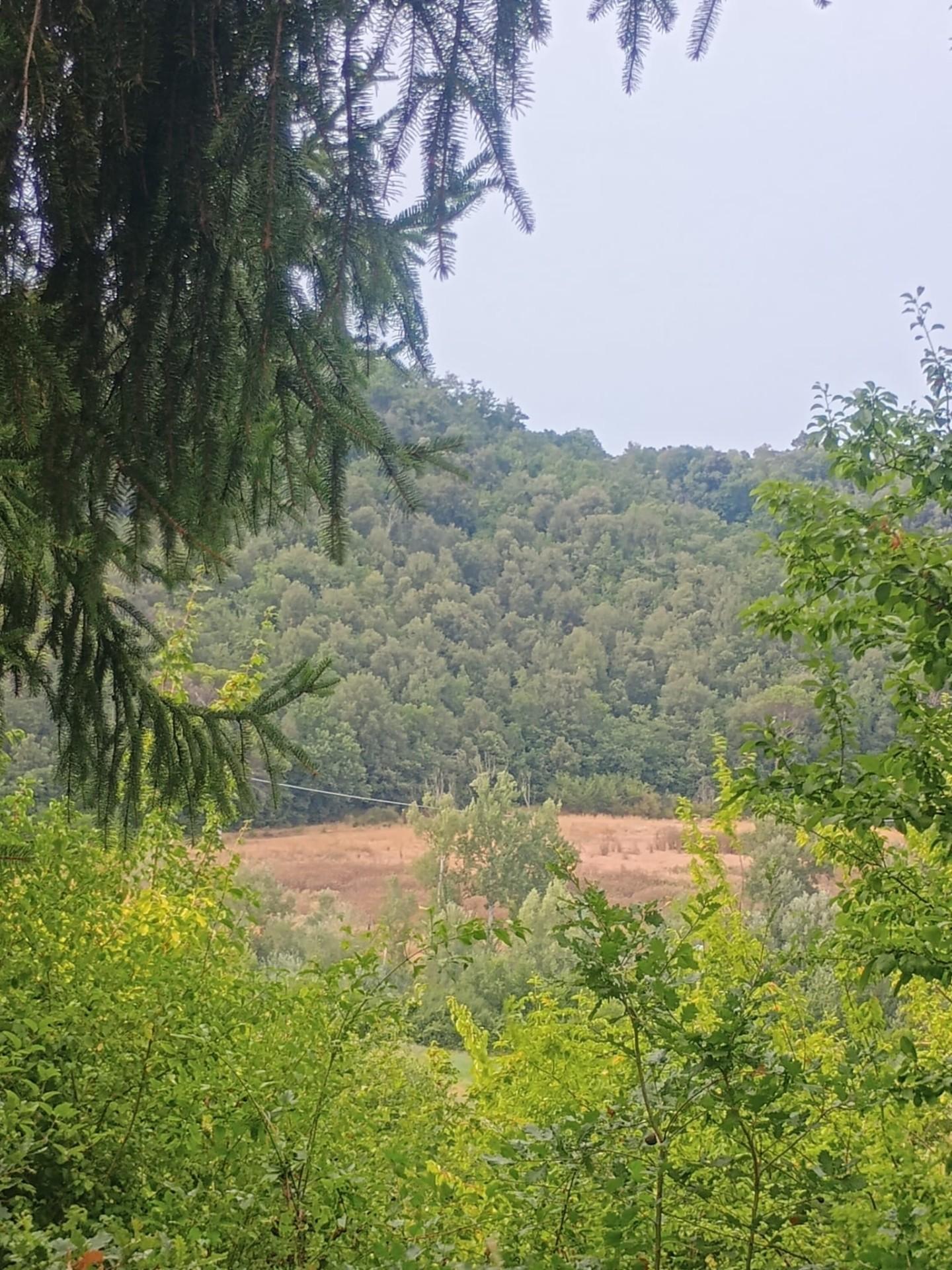 Foto annuncio 6
