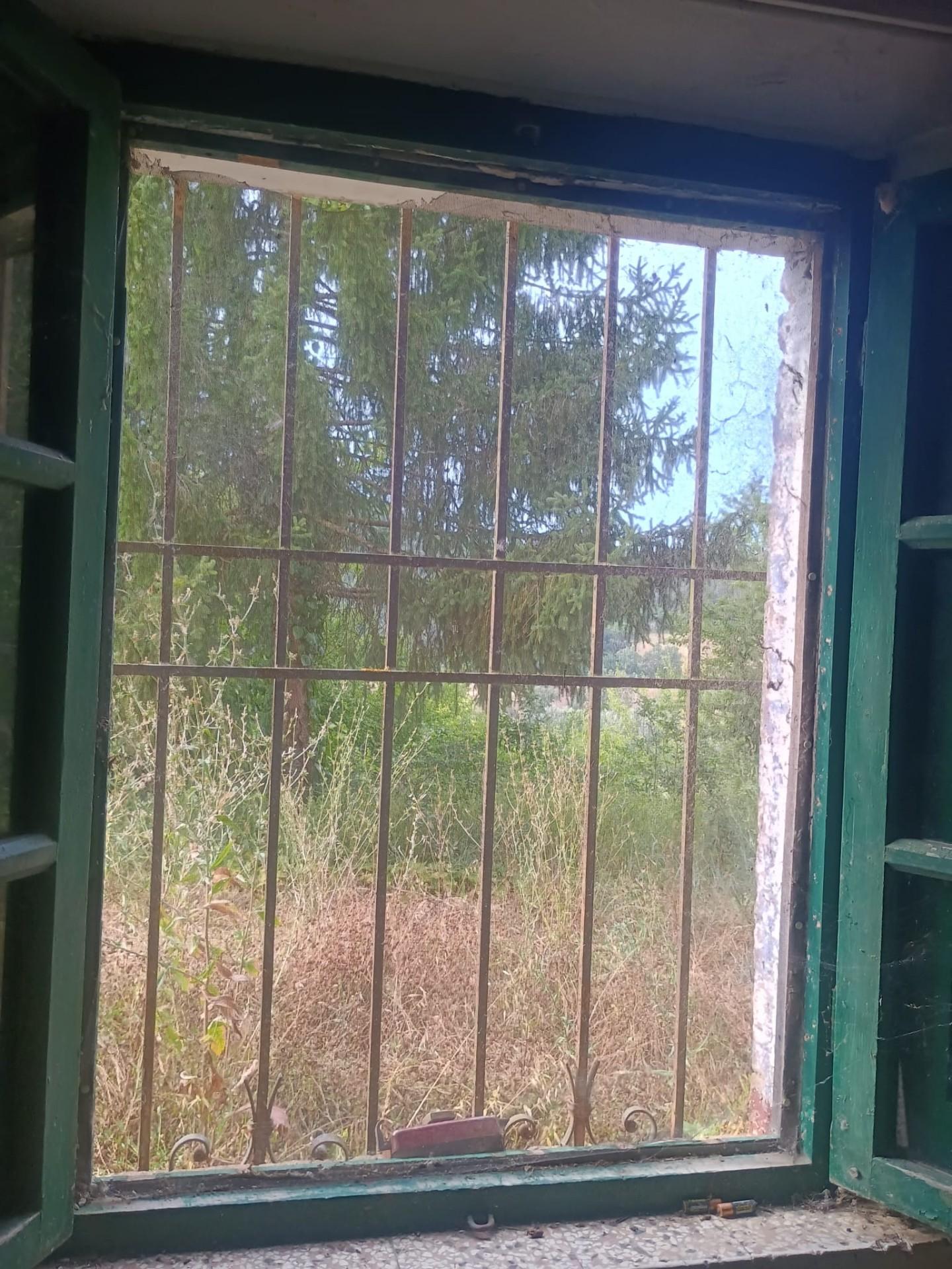 Foto annuncio 22