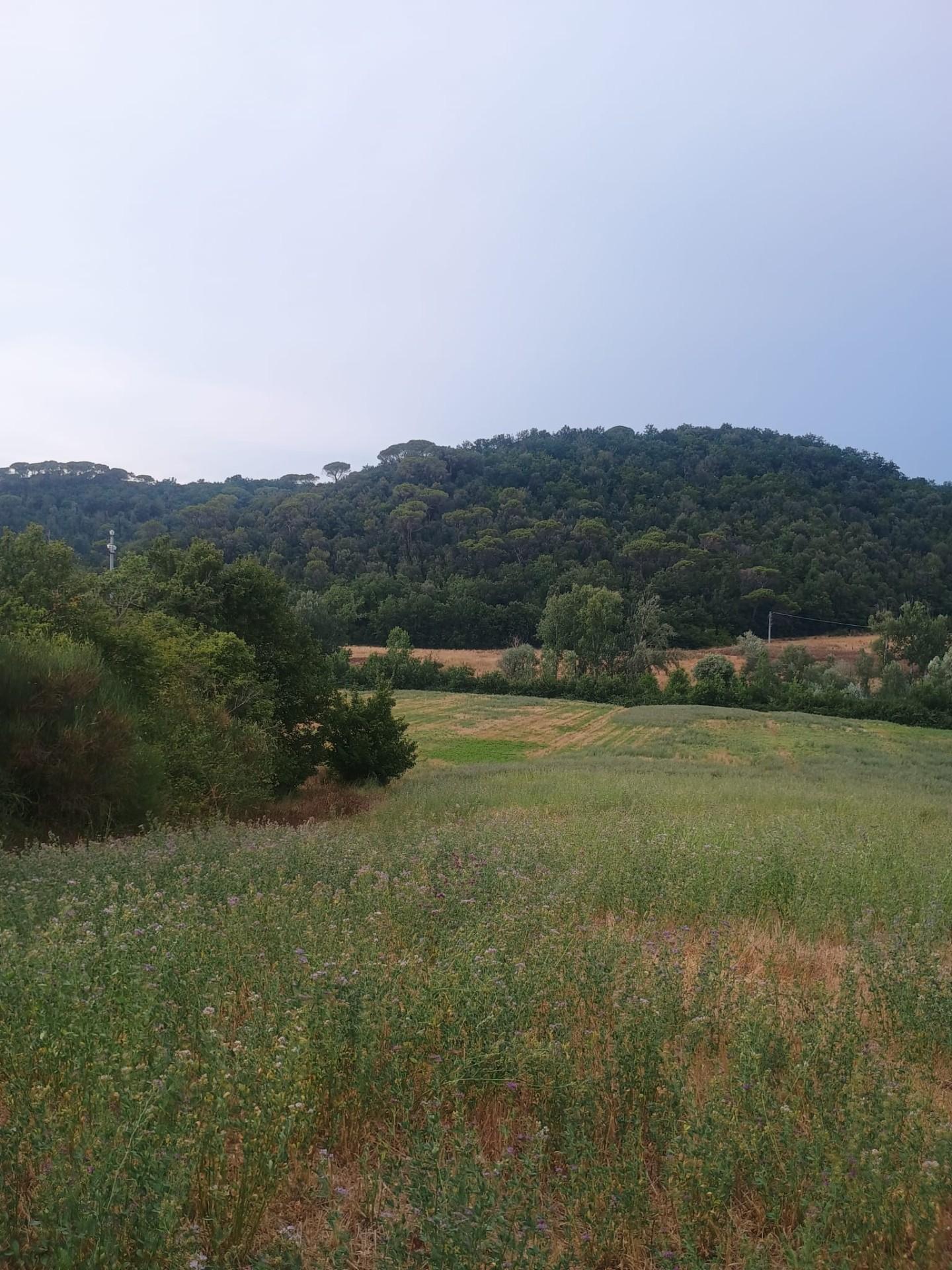 Foto annuncio 9