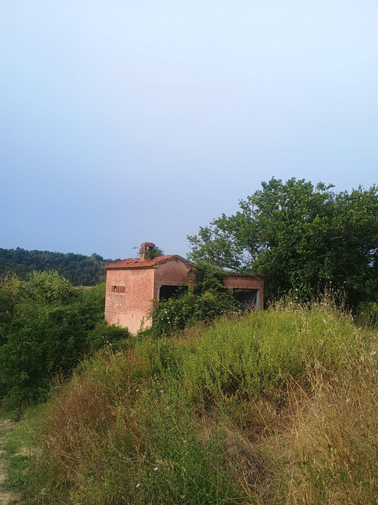 Foto annuncio 4