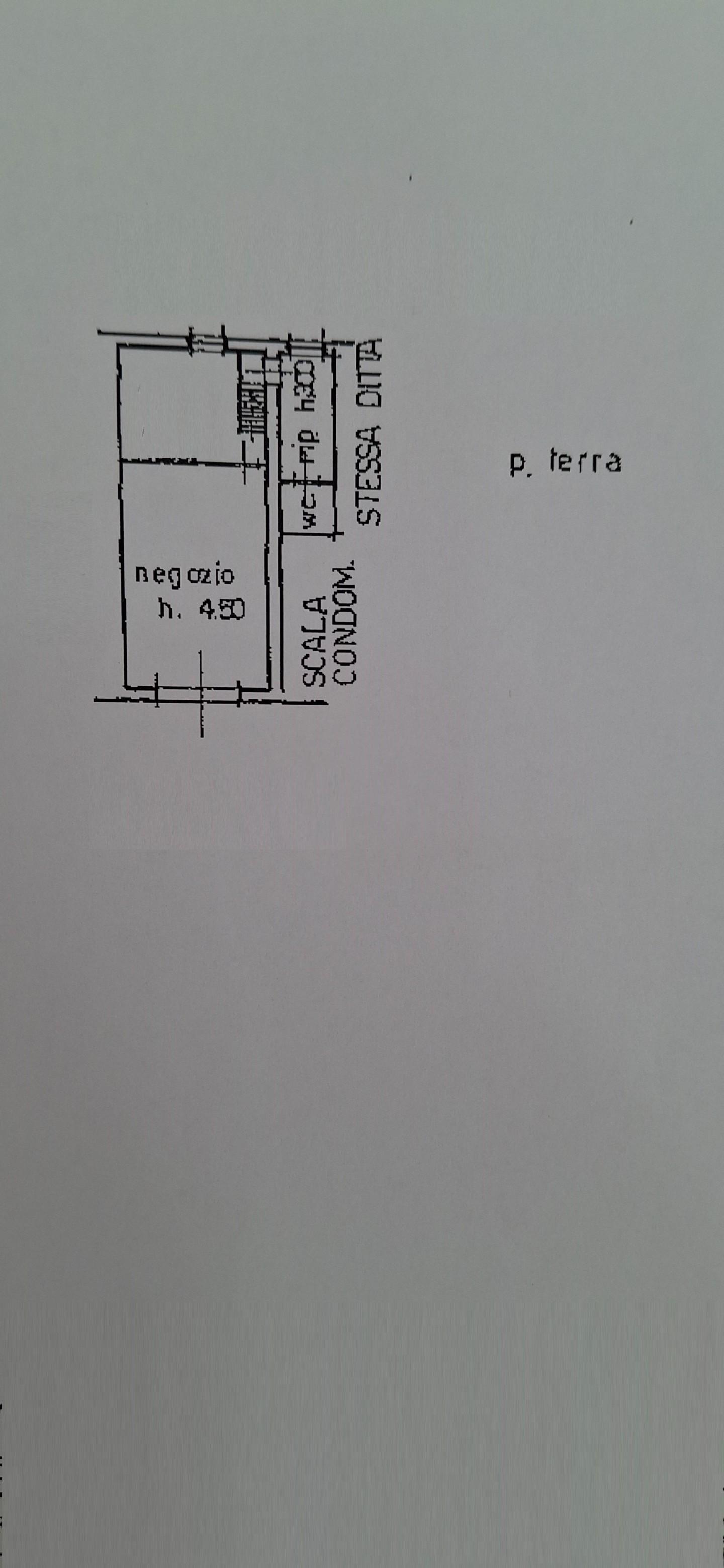 Foto annuncio 14