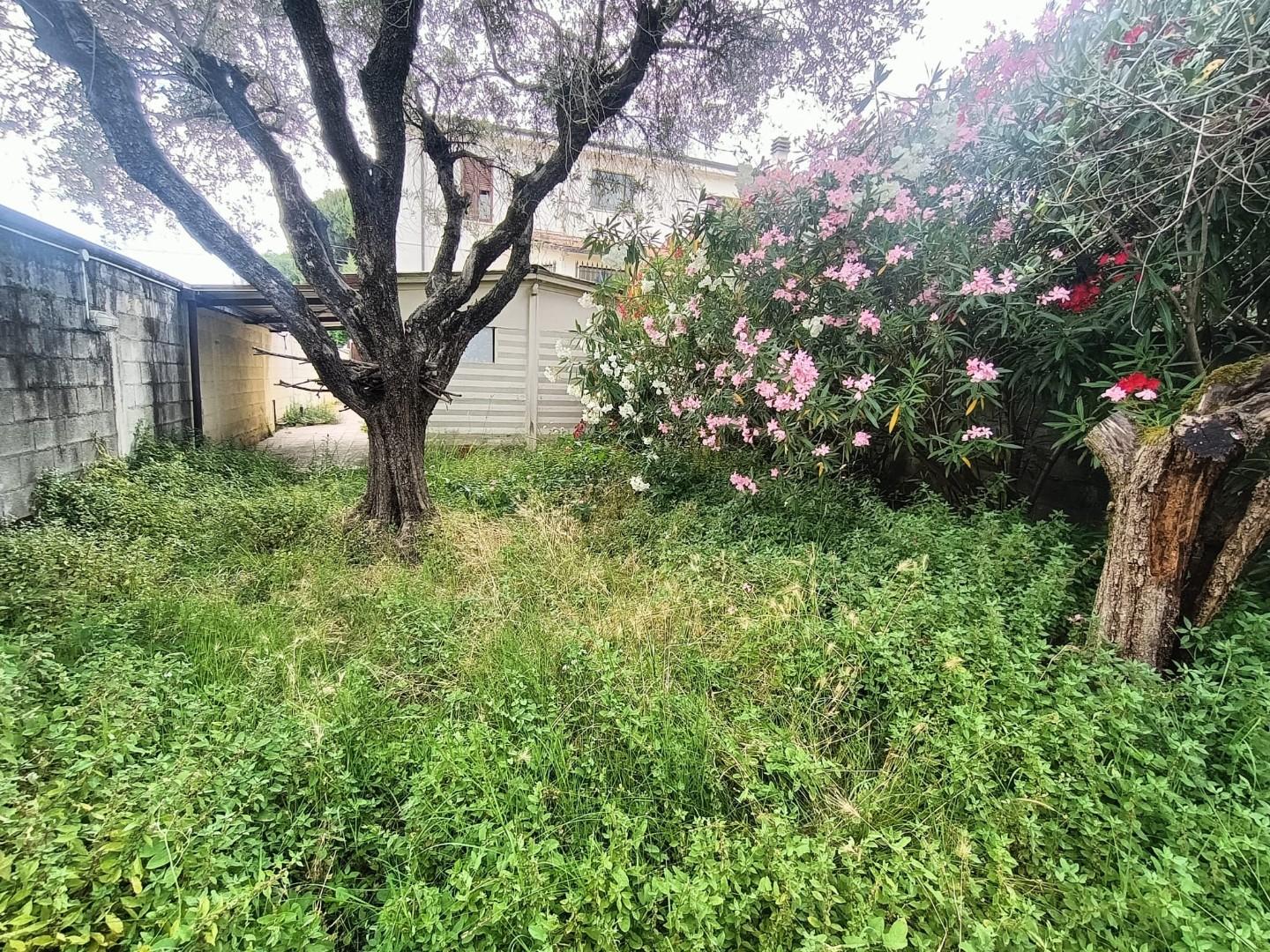 Foto annuncio 4