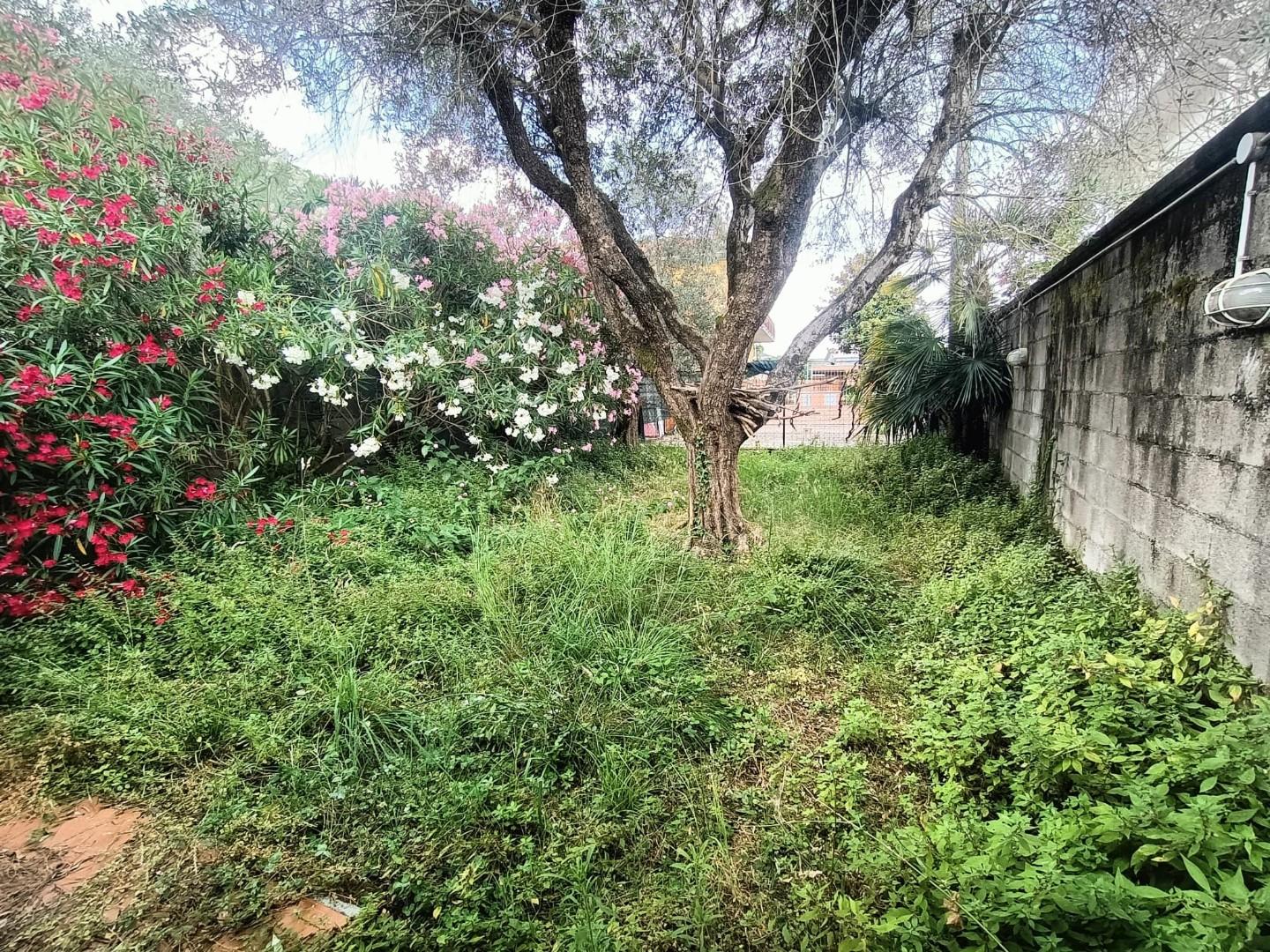 Foto annuncio 12
