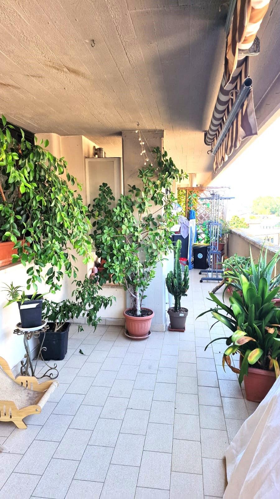 Foto annuncio 5