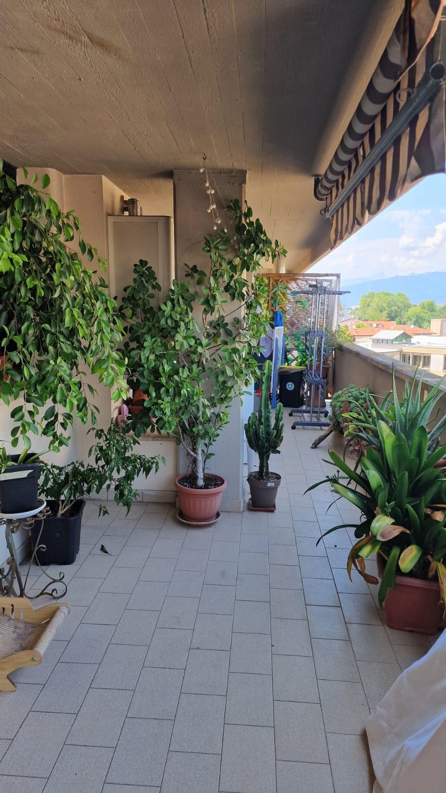 Foto annuncio 7