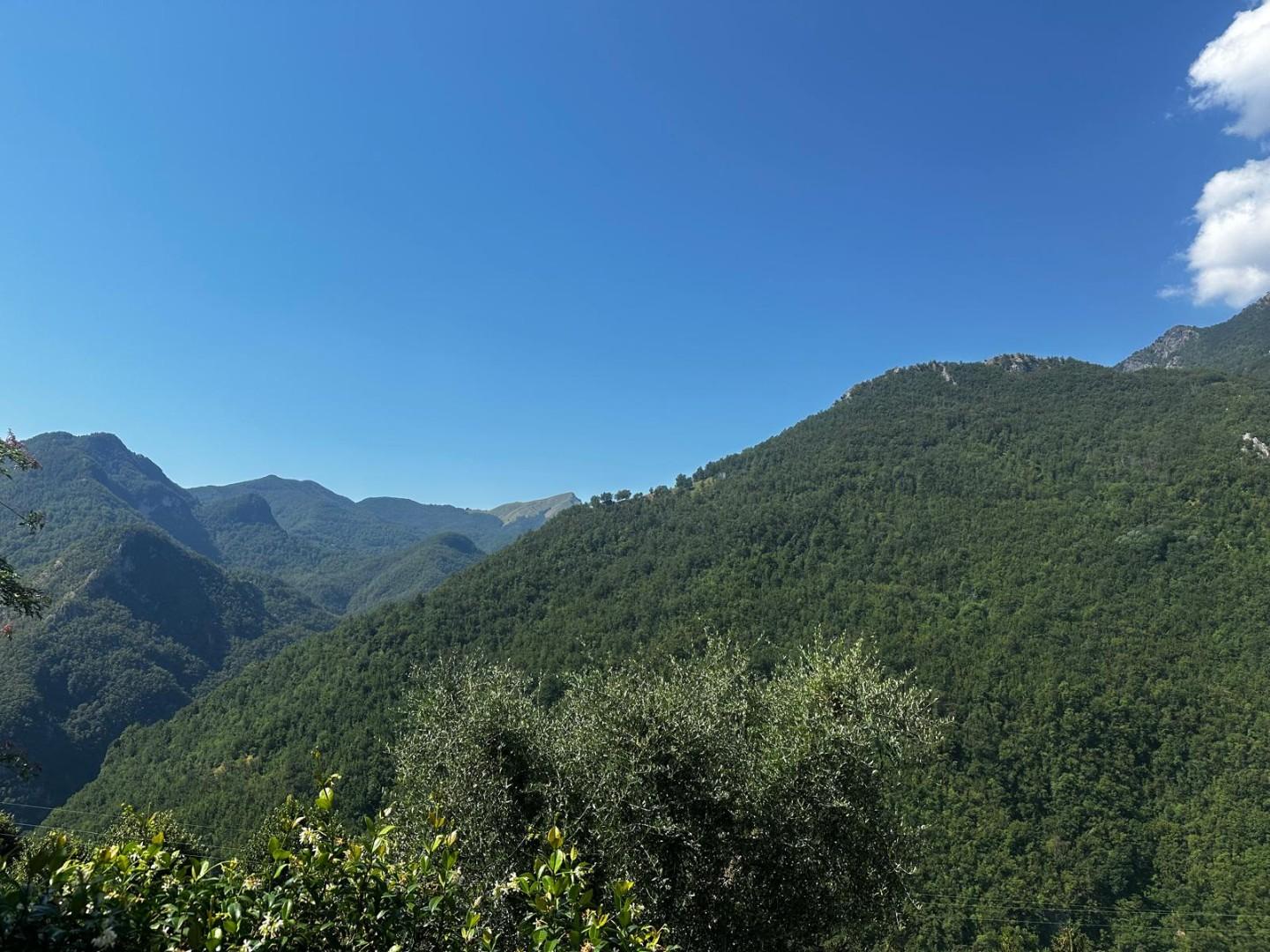 Foto annuncio 19