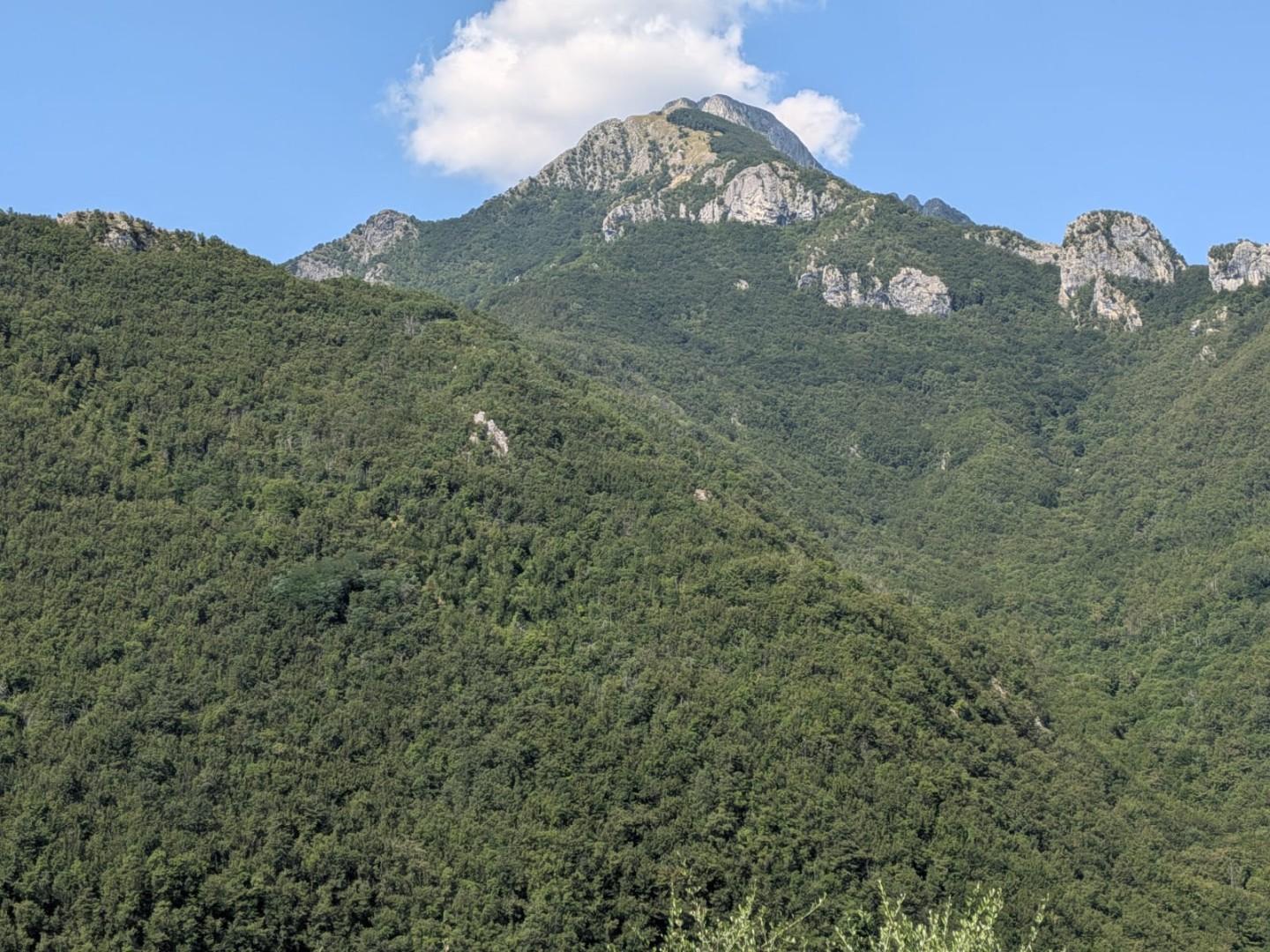 Foto annuncio 10