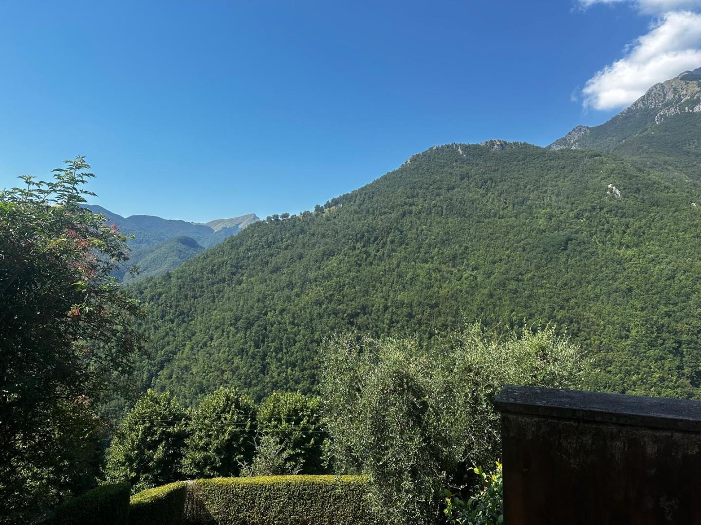 Foto annuncio 18