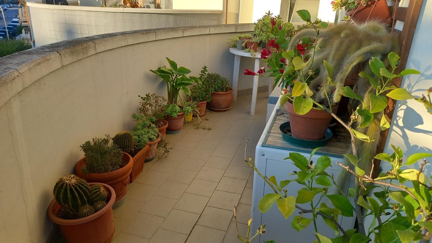 Foto annuncio 38