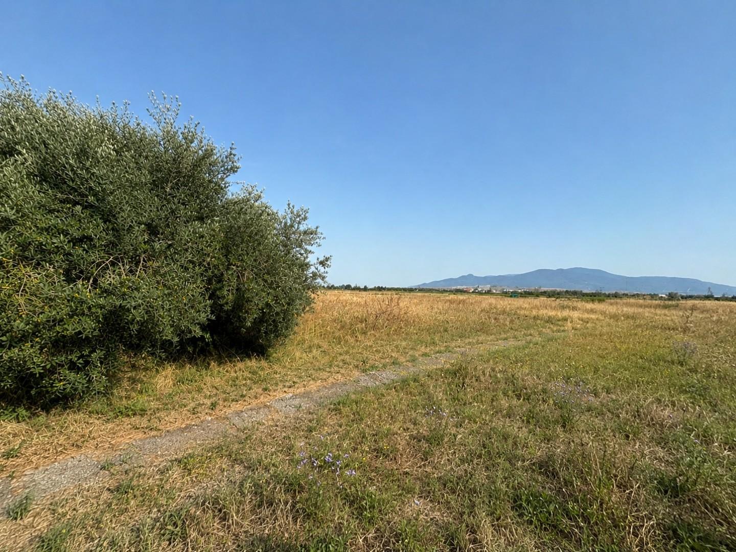 Foto annuncio 10