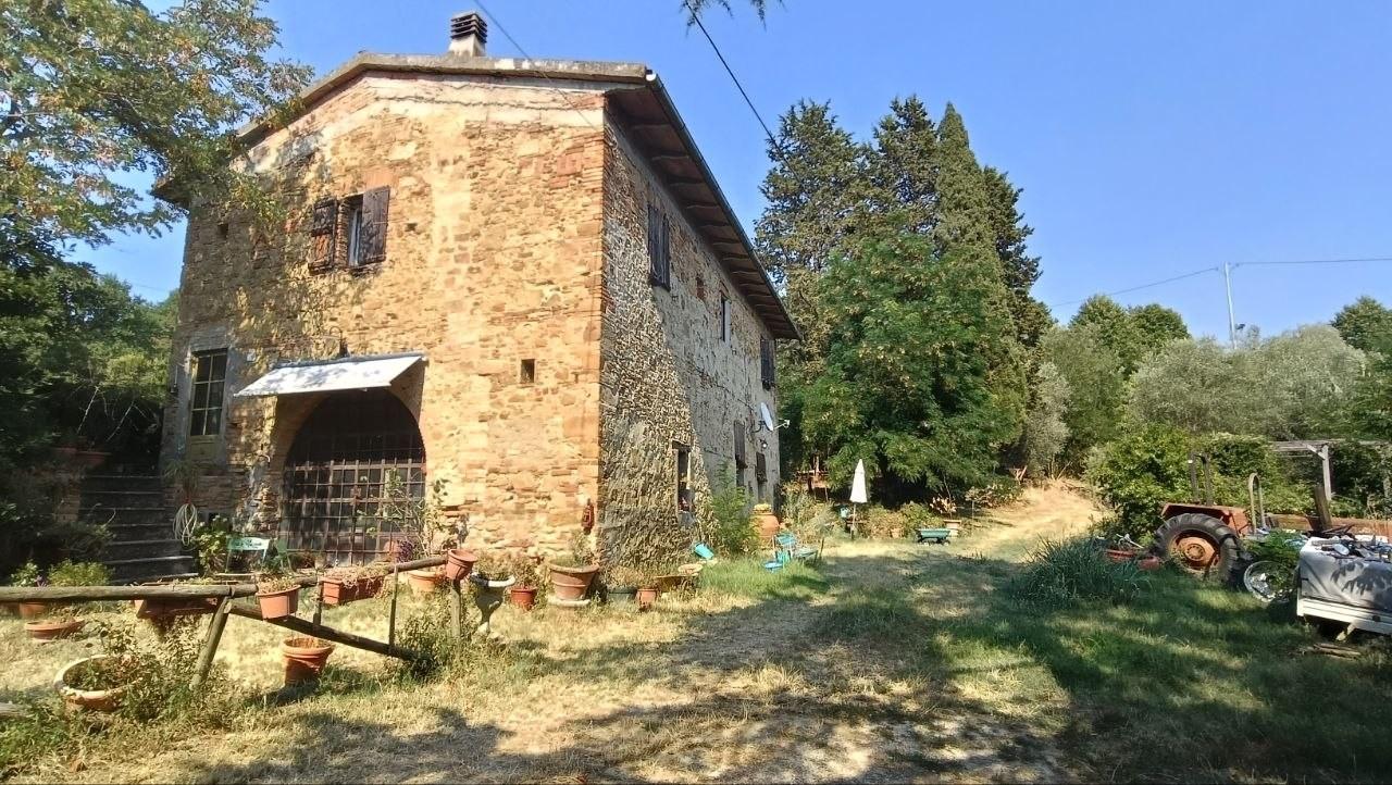 Foto annuncio 28