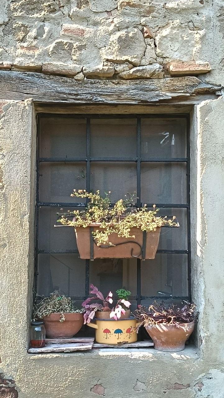 Foto annuncio 27