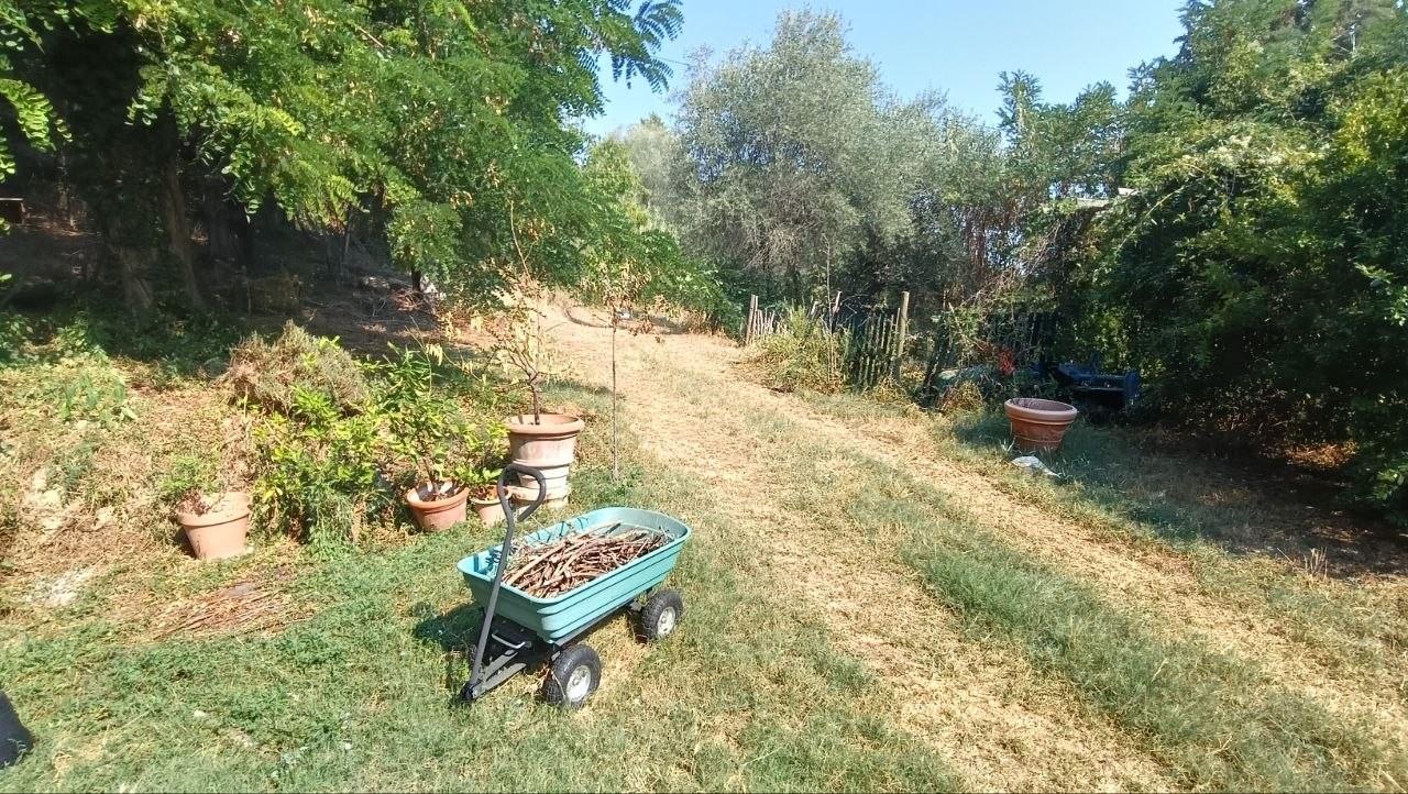Foto annuncio 29