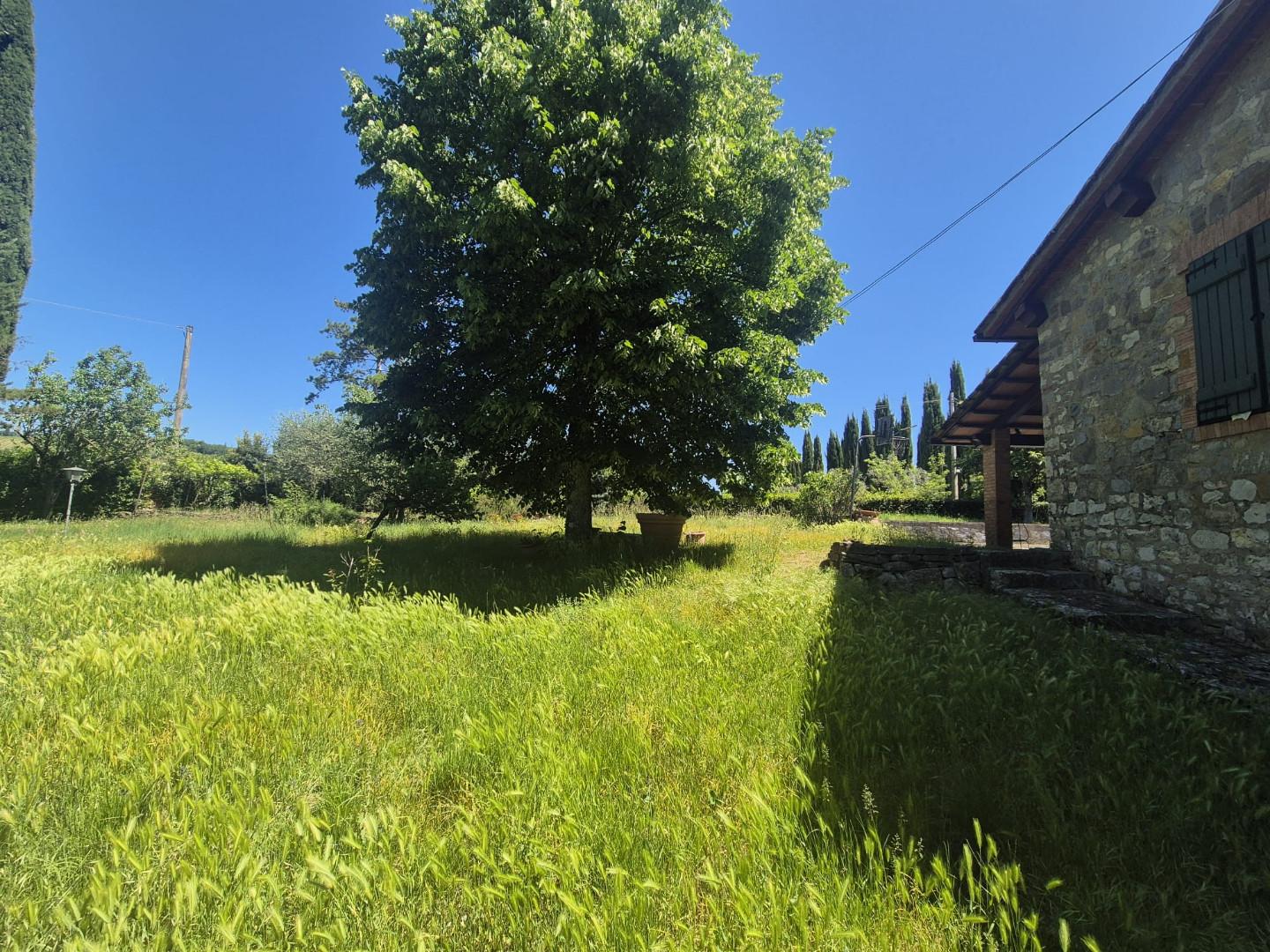 Foto annuncio 19