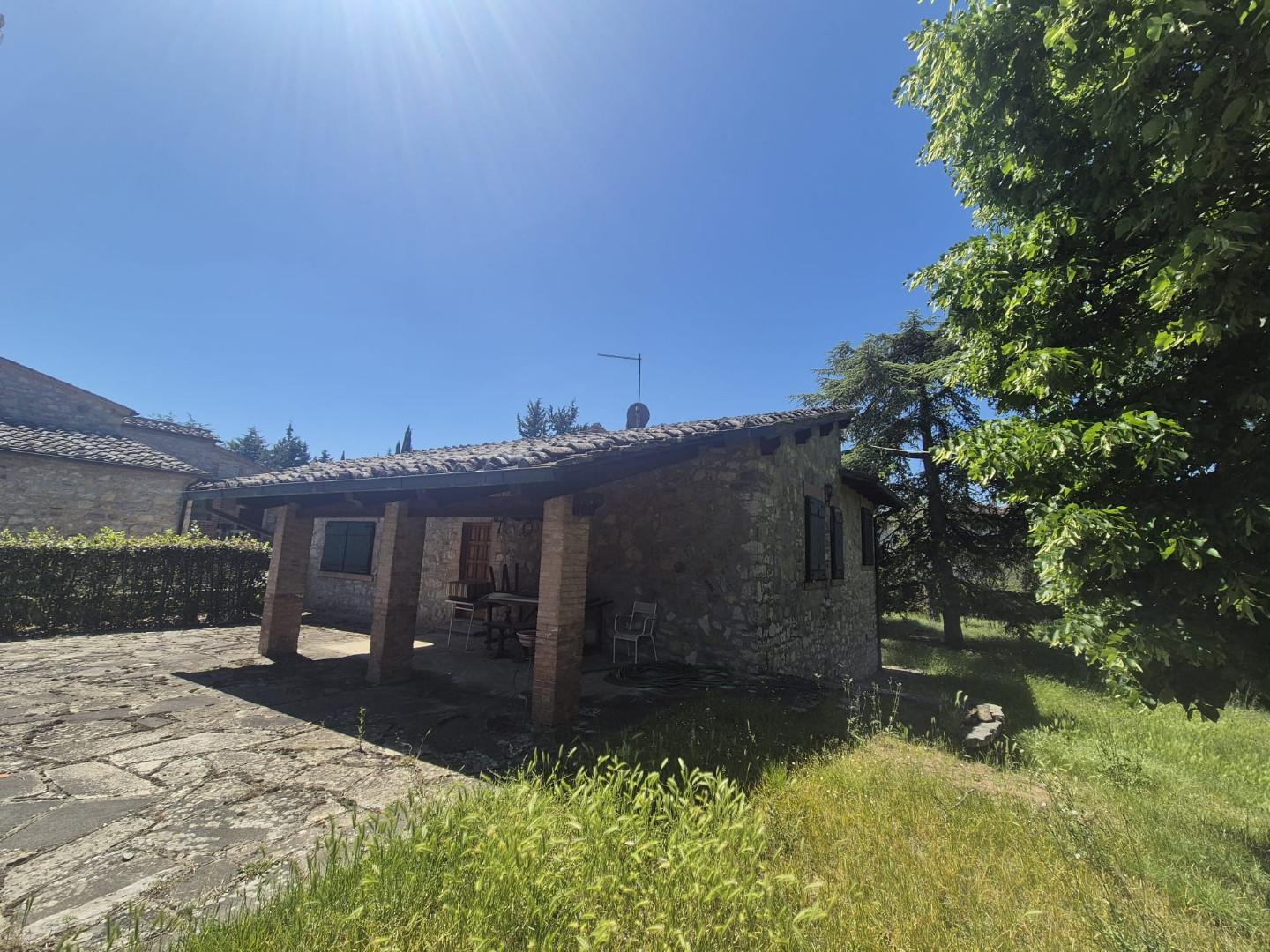 Foto annuncio 24