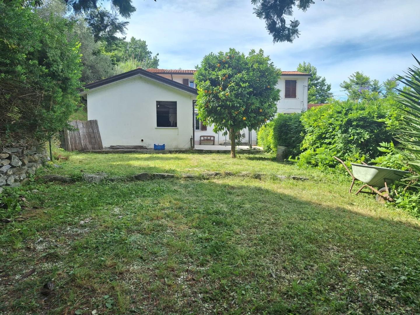 Foto annuncio 1