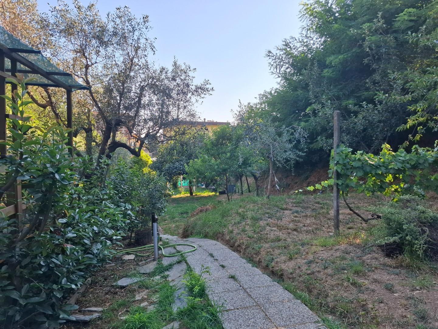 Foto annuncio 3