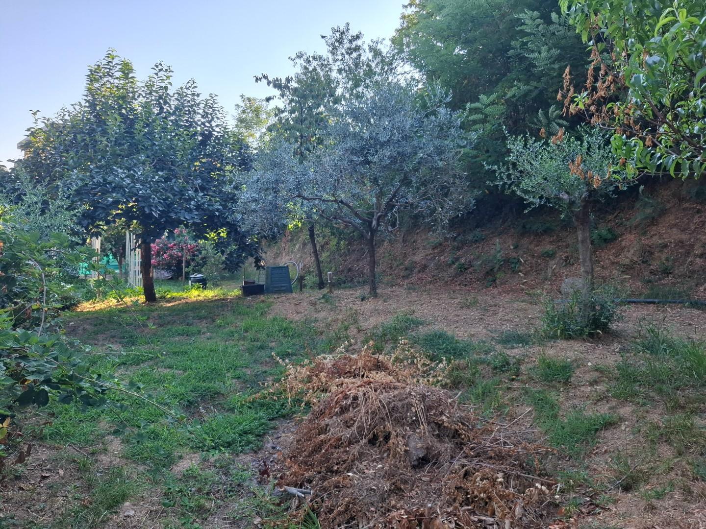 Foto annuncio 12