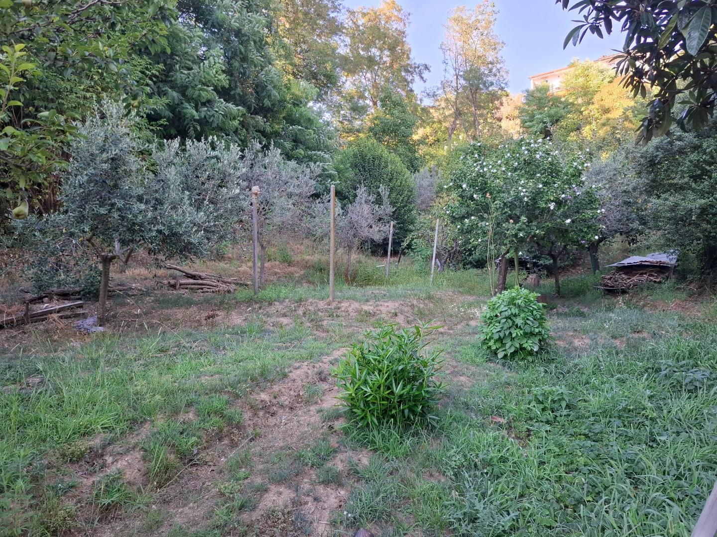 Foto annuncio 15