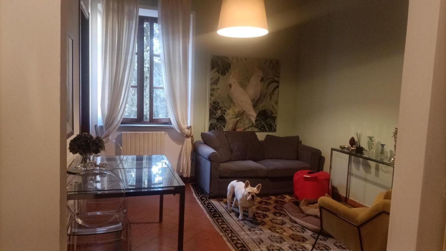 Foto annuncio 1
