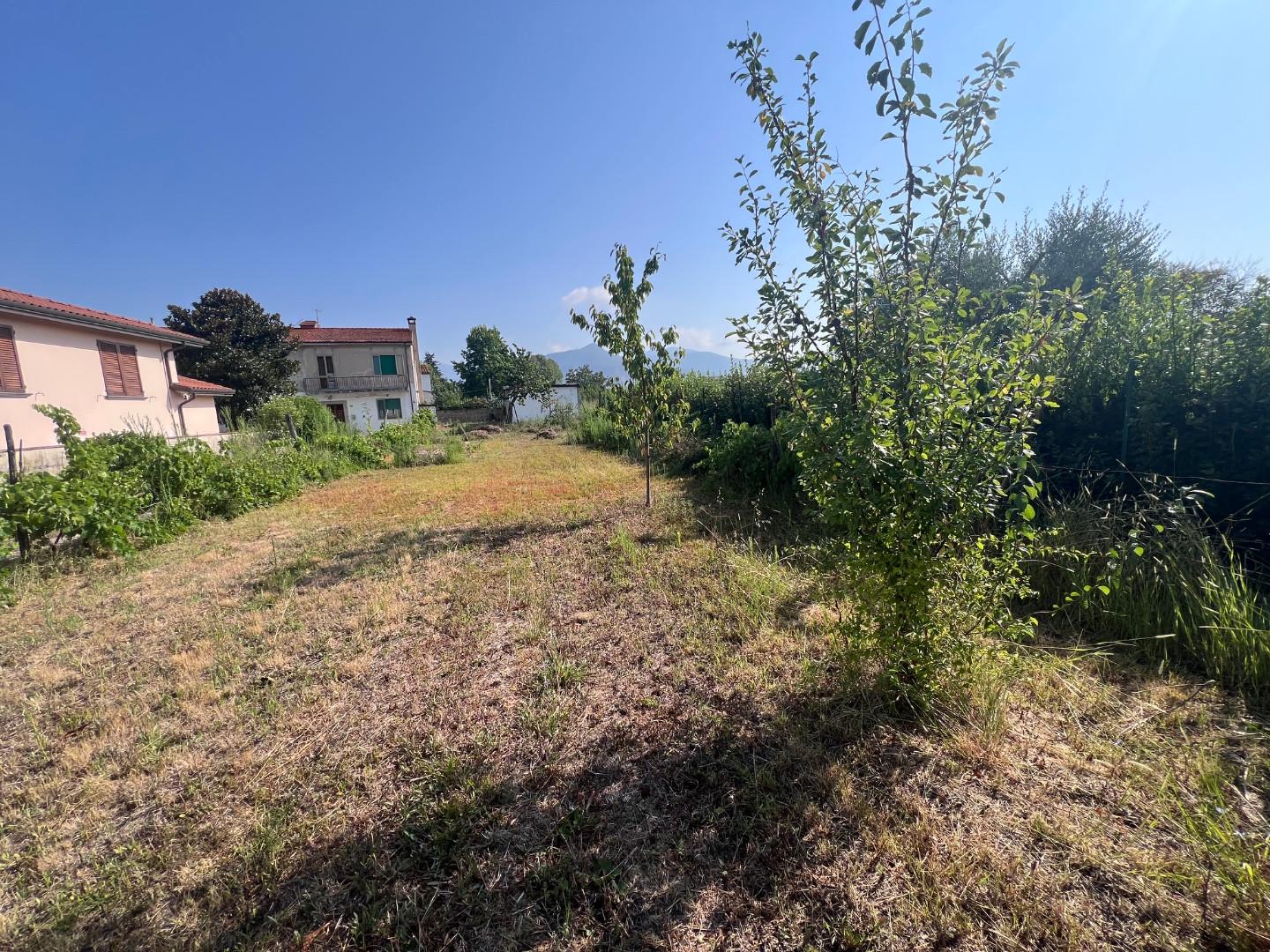 Foto annuncio 1