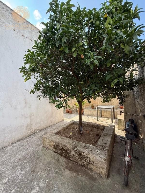 Foto annuncio 20