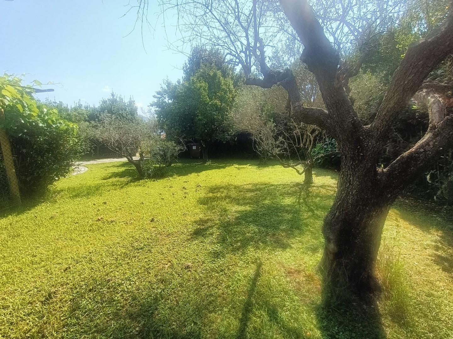 Foto annuncio 5
