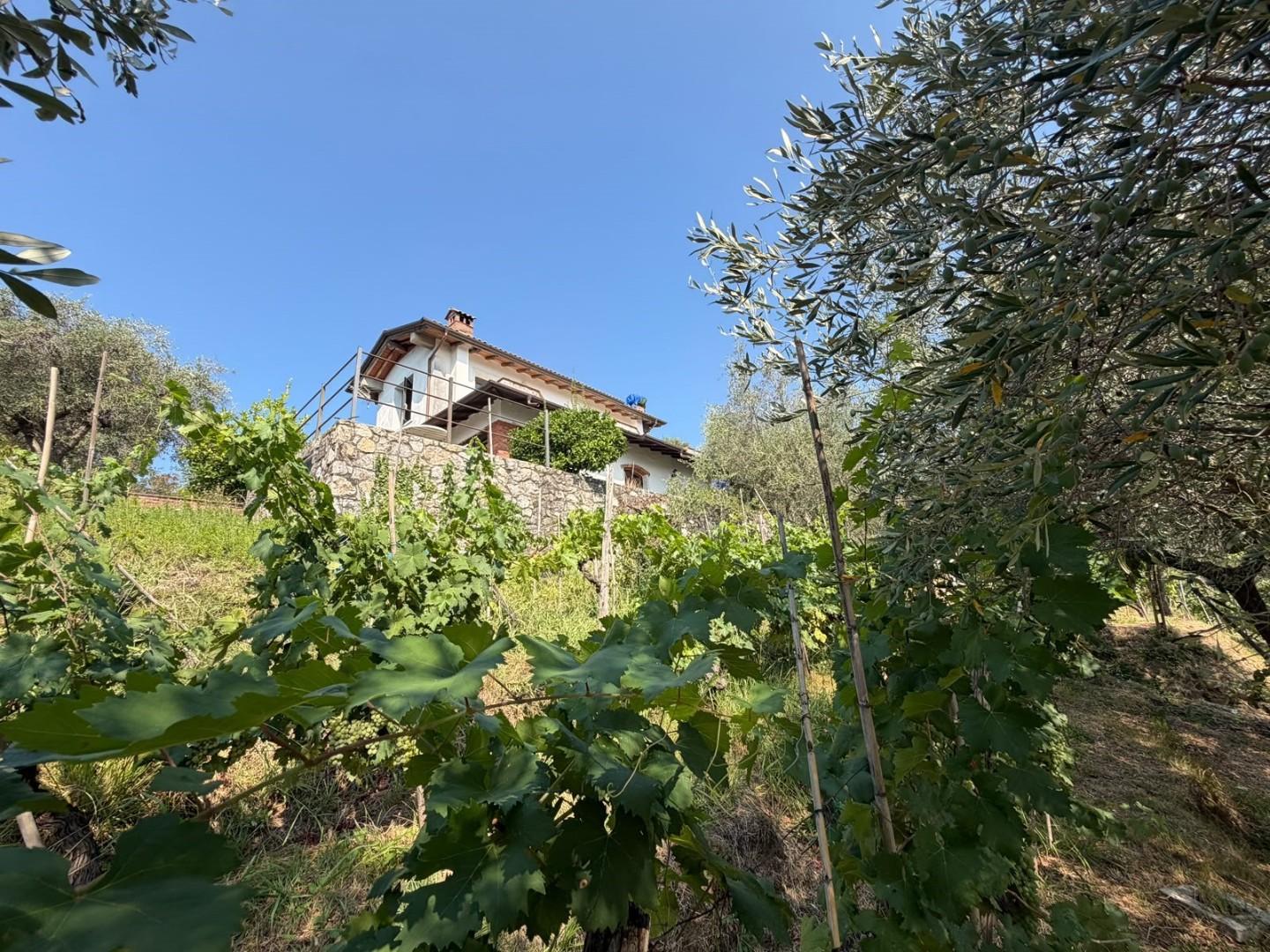 Foto annuncio 8