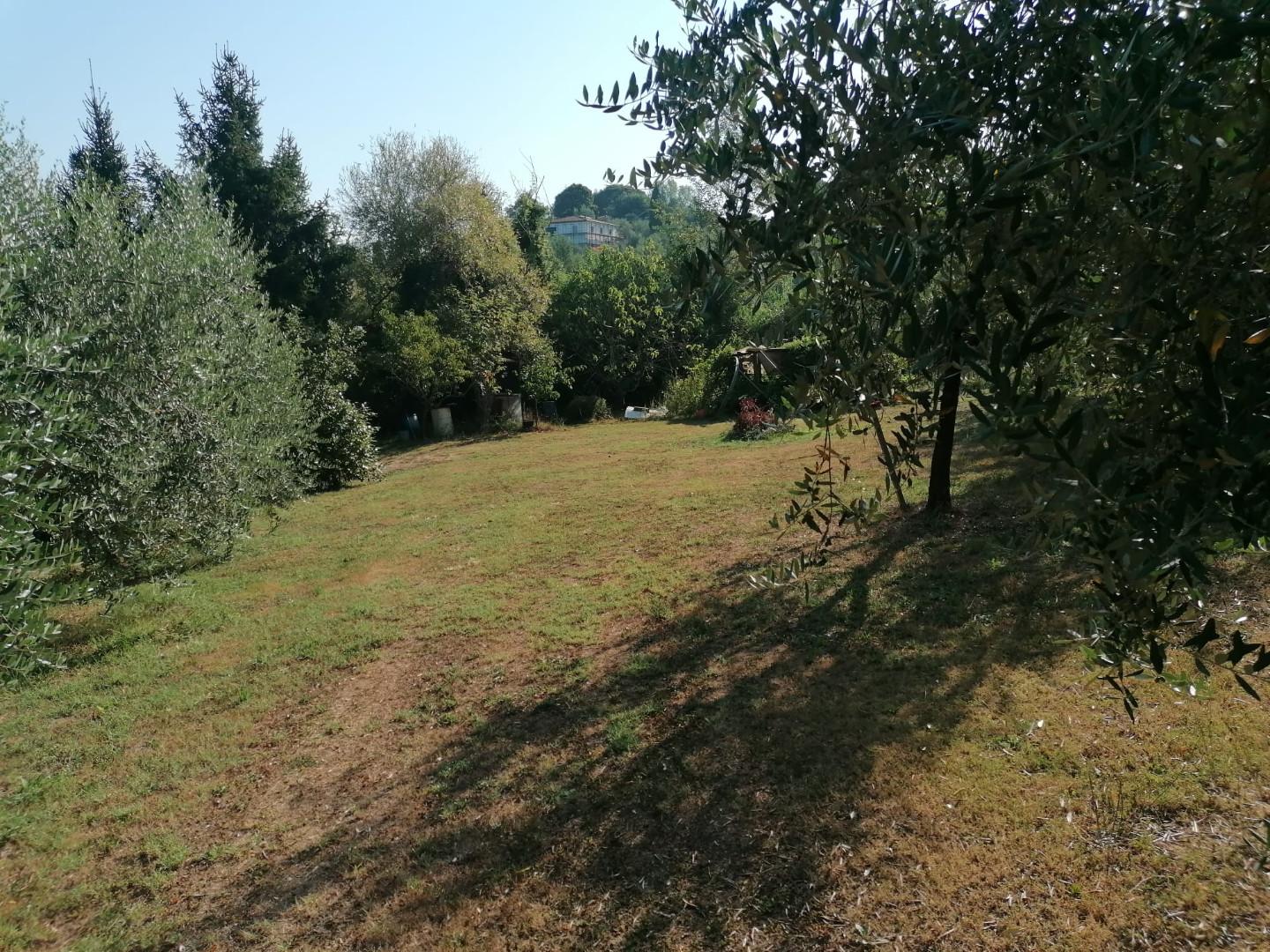 Foto annuncio 10