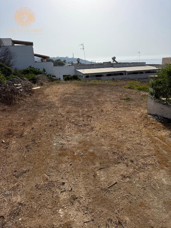 Foto annuncio 4